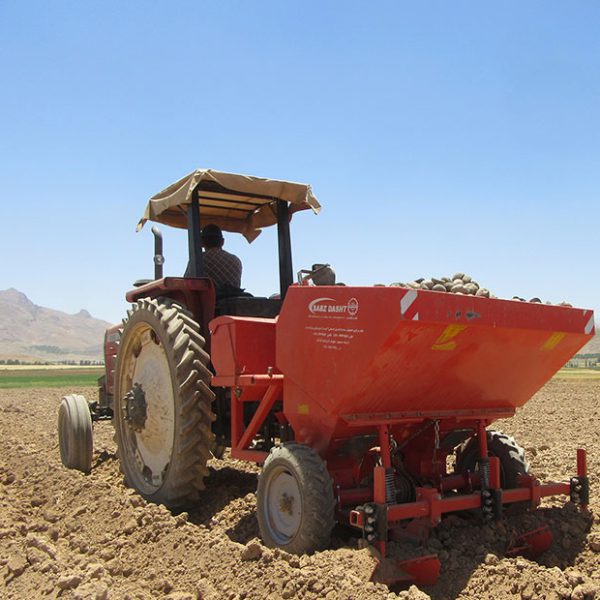 سیب زمینی کار کودکار