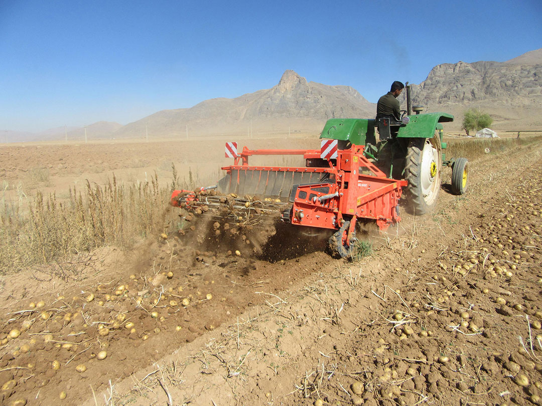 Promax SD150 two-row potato harvester - Sabz-Dasht machine