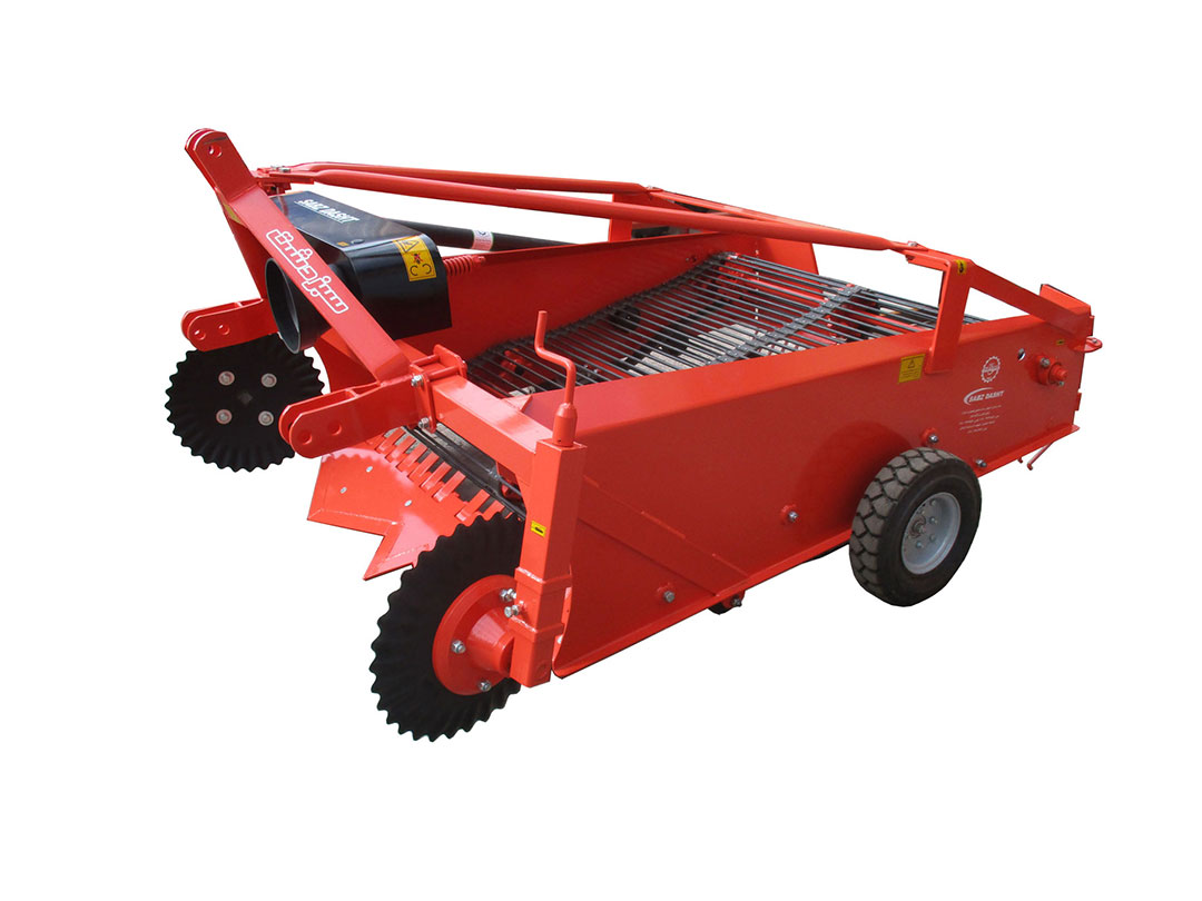 potato Boston Bulbs Seed Potatoes Solanum Tuberosum Wilja only £4.25