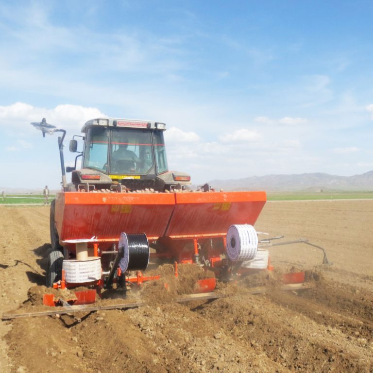 سیب زمینی کار سبزدشت مدل ab4-d50