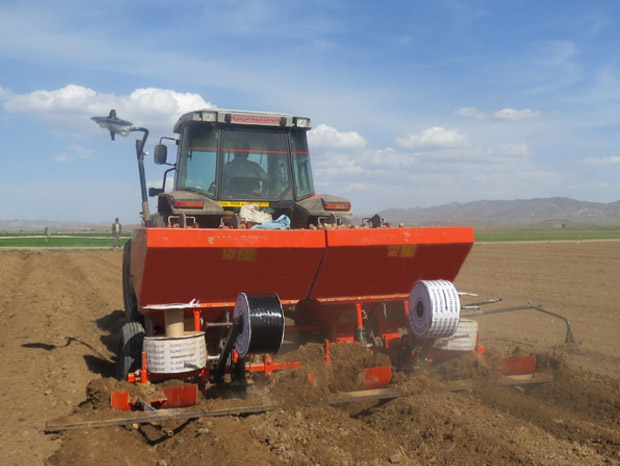 سیب زمینی کار سبزدشت مدل ab4-f-d50