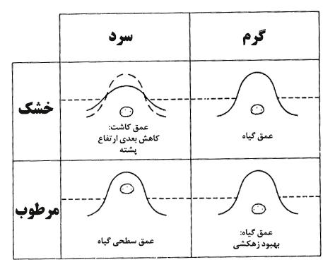 عمق کاشت در شرایط مختلف